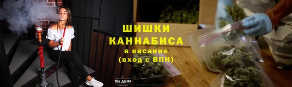 спайс Михайлов