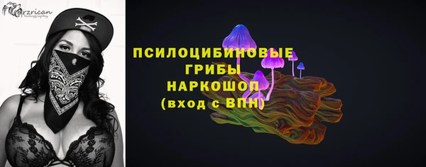 спайс Михайлов