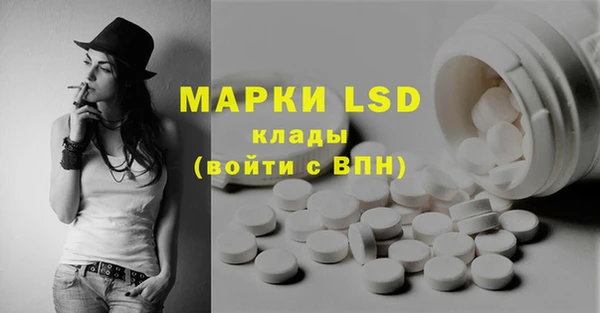 сатива Михайловка