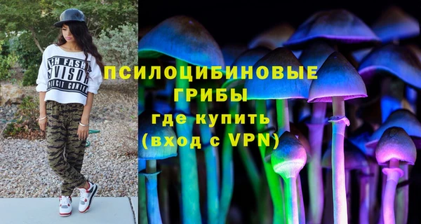 МДПВ Михайловск