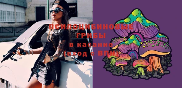 спайс Михайлов